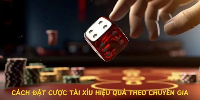 Kinh nghiệm chơi tài xỉu