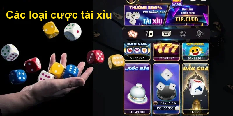 Các loại cược Tài xỉu