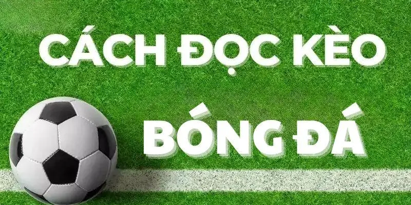Cách đọc kèo bóng đá TA88