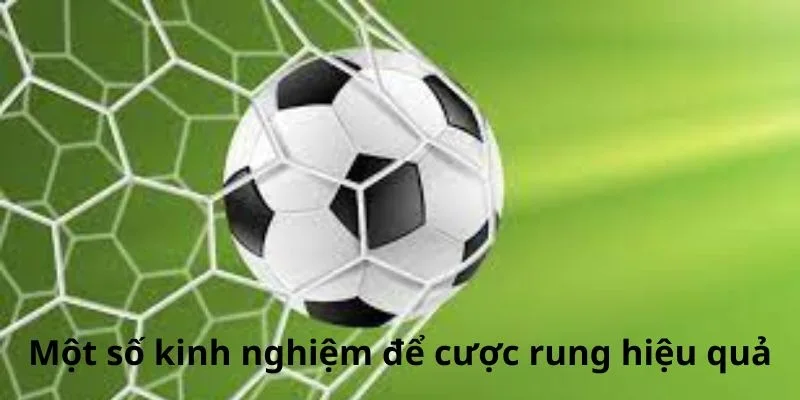 Kinh nghiệm để cược kèo rung